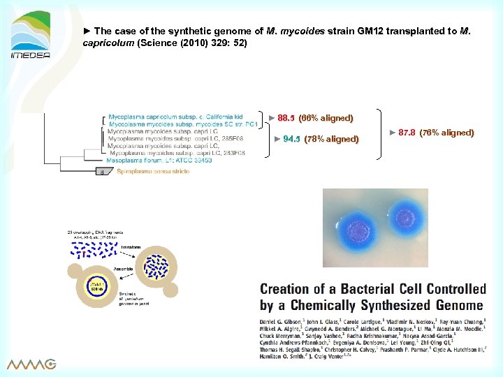 ► The case of the synthetic genome of M. mycoides strain GM 12 transplanted