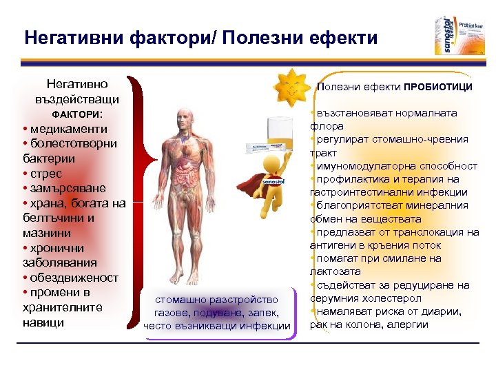 Негативни фактори/ Полезни ефекти Негативно въздействащи ФАКТОРИ: • медикаменти • болестотворни бактерии • стрес