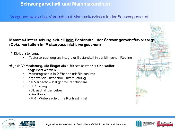 Schwangerschaft und Mammakarzinom Vorgehensweise bei Verdacht auf Mammakarzinom in der Schwangerschaft Mamma-Untersuchung aktuell kein