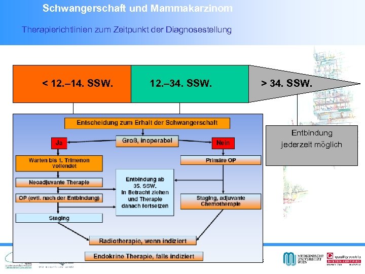 Schwangerschaft und Mammakarzinom Therapierichtlinien zum Zeitpunkt der Diagnosestellung < 12. – 14. SSW. 12.