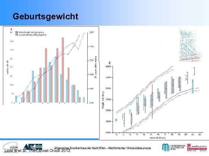 Geburtsgewicht Allgemeines Krankenhaus der Stadt Wien – Medizinischer Universitätscampus Loibl S et al. The