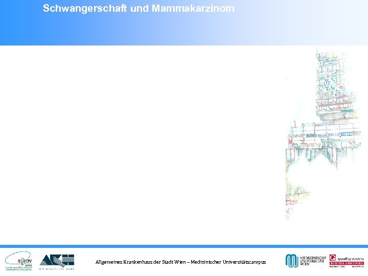 Schwangerschaft und Mammakarzinom Allgemeines Krankenhaus der Stadt Wien – Medizinischer Universitätscampus 