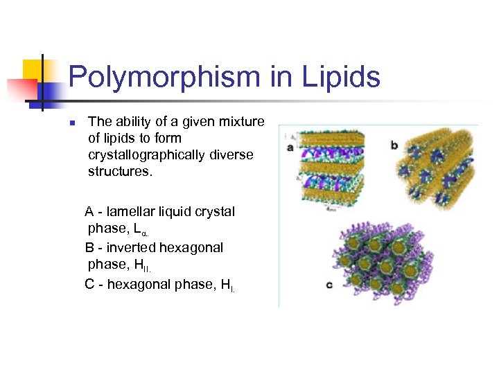 Introduction Into Cubic Phase Lipids Matt Chandler