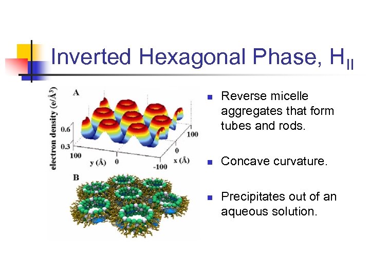 Inverted Hexagonal Phase, HII n n n Reverse micelle aggregates that form tubes and