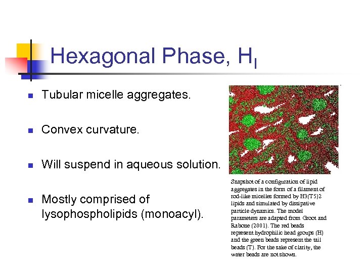 Hexagonal Phase, HI n Tubular micelle aggregates. n Convex curvature. n Will suspend in