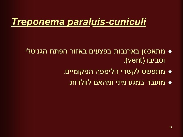  Treponema paraluis-cuniculi l l l 91 מתאכסן בארנבות בפצעים באזור הפתח הגניטלי וסביבו