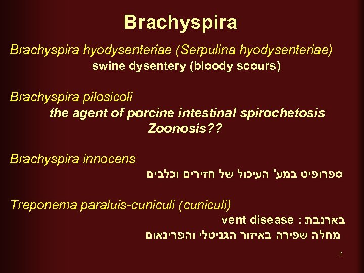 Brachyspira hyodysenteriae (Serpulina hyodysenteriae) swine dysentery (bloody scours) Brachyspira pilosicoli the agent of porcine