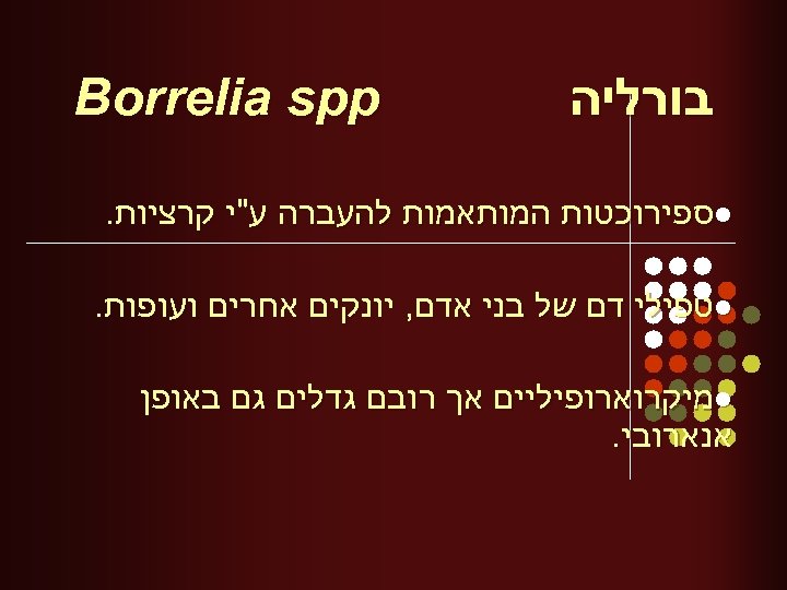  בורליה Borrelia spp l ספירוכטות המותאמות להעברה ע"י קרציות. l טפילי דם של