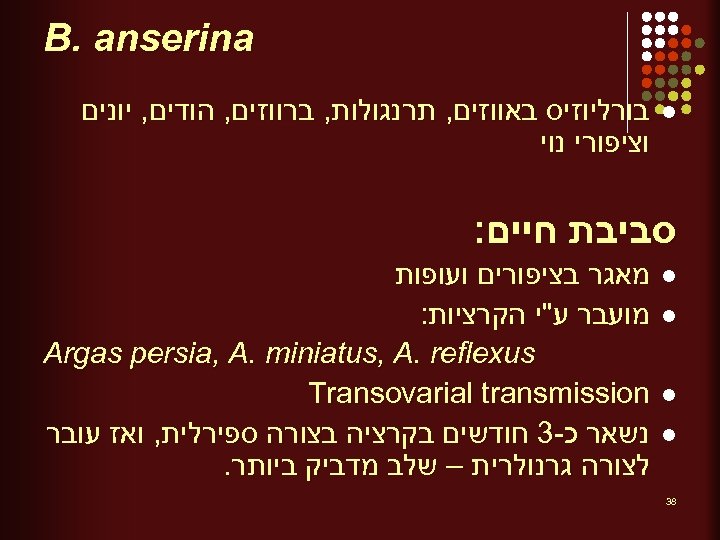  B. anserina l בורליוזיס באווזים, תרנגולות, ברווזים, הודים, יונים וציפורי נוי סביבת חיים: