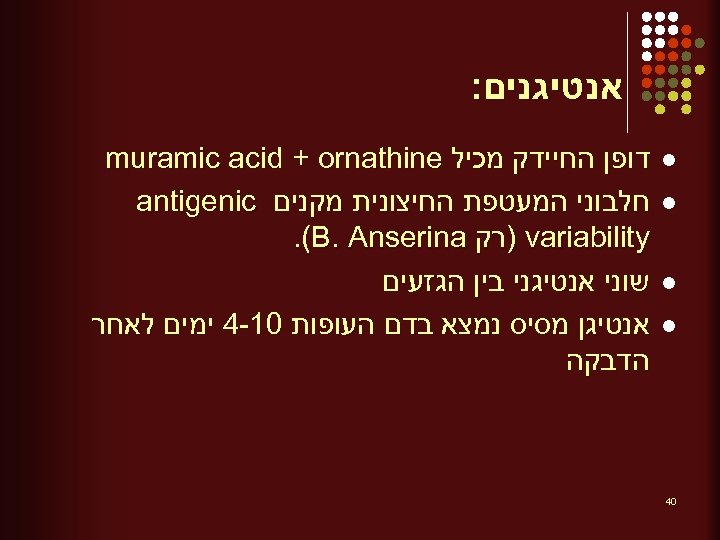  אנטיגנים: l l 04 דופן החיידק מכיל muramic acid + ornathine חלבוני המעטפת