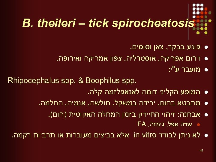  B. theileri – tick spirocheatosis l l l פוגע בבקר, צאן וסוסים. דרום