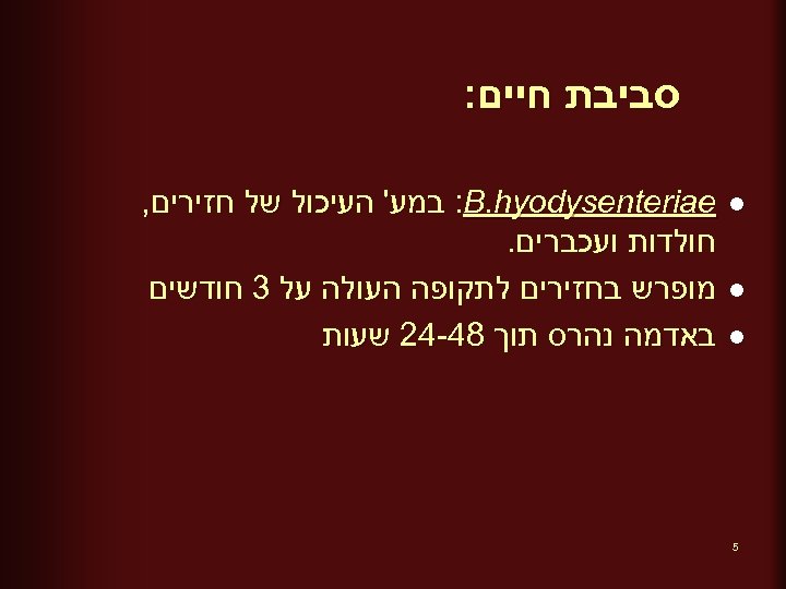  סביבת חיים: l l l 5 : B. hyodysenteriae במע' העיכול של חזירים,