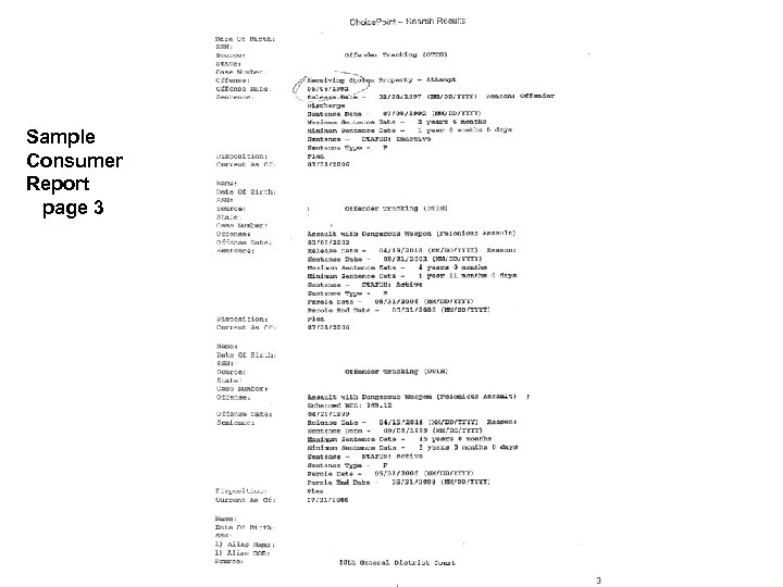 Sample Consumer Report page 3 