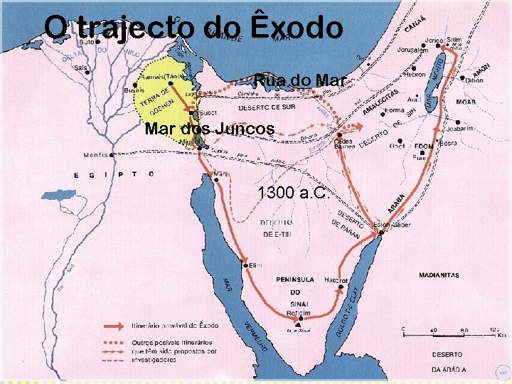 O trajecto do Êxodo Rua do Mar dos Juncos 1300 a. C. 