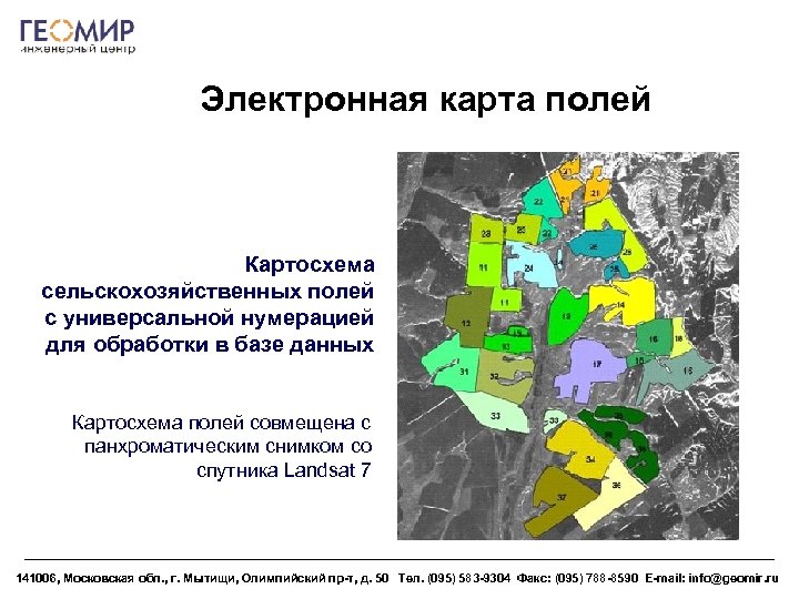 Электронная карта полей Картосхема сельскохозяйственных полей с универсальной нумерацией для обработки в базе данных