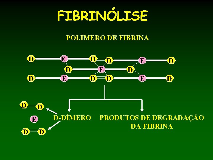 FIBRINÓLISE POLÍMERO DE FIBRINA D E D D D E D E D D