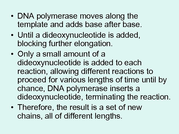  • DNA polymerase moves along the template and adds base after base. •