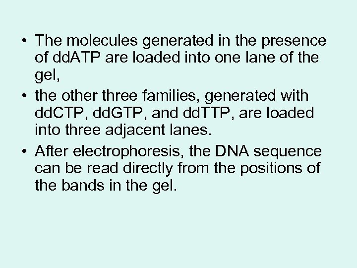  • The molecules generated in the presence of dd. ATP are loaded into