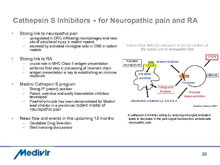 Cathepsin S Inhibitors - for Neuropathic pain and RA • Strong link to neuropathic