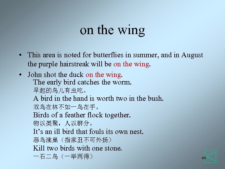 on the wing • This area is noted for butterflies in summer, and in