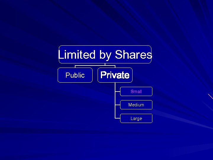 Limited by Shares Public Private Small Medium Large 
