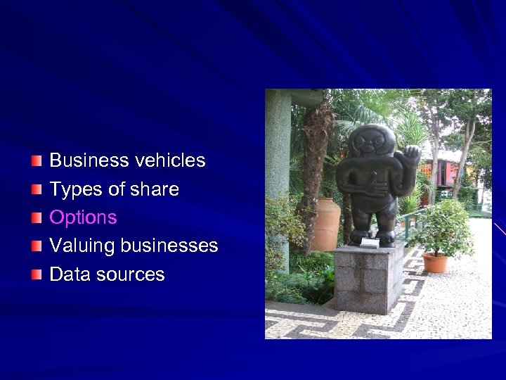 Business vehicles Types of share Options Valuing businesses Data sources 