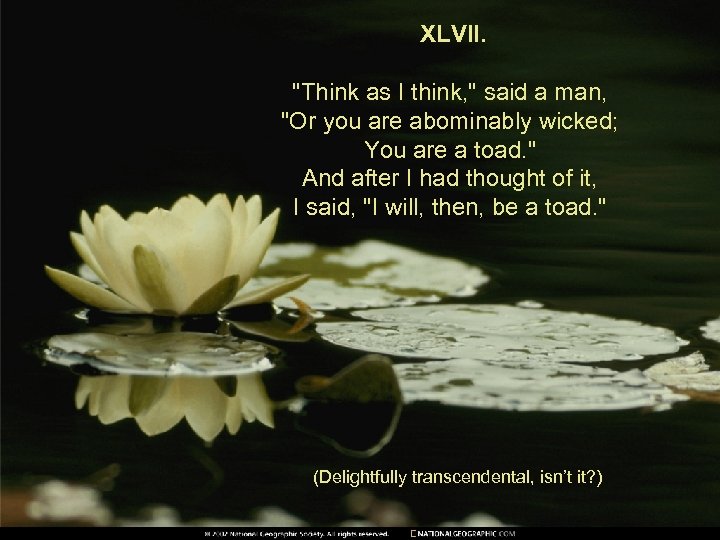 XLVII. "Think as I think, " said a man, "Or you are abominably wicked;