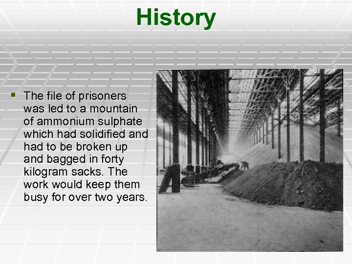 History § The file of prisoners was led to a mountain of ammonium sulphate