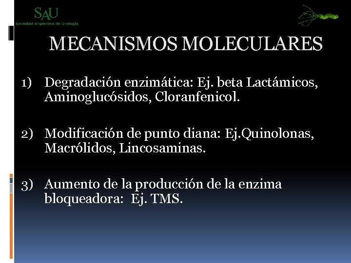 MECANISMOS MOLECULARES 1) Degradación enzimática: Ej. beta Lactámicos, Aminoglucósidos, Cloranfenicol. 2) Modificación de punto