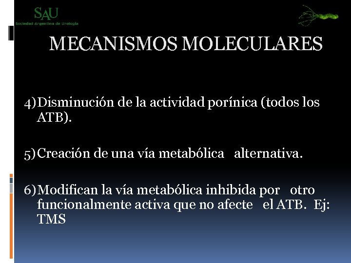 MECANISMOS MOLECULARES 4) Disminución de la actividad porínica (todos los ATB). 5) Creación de