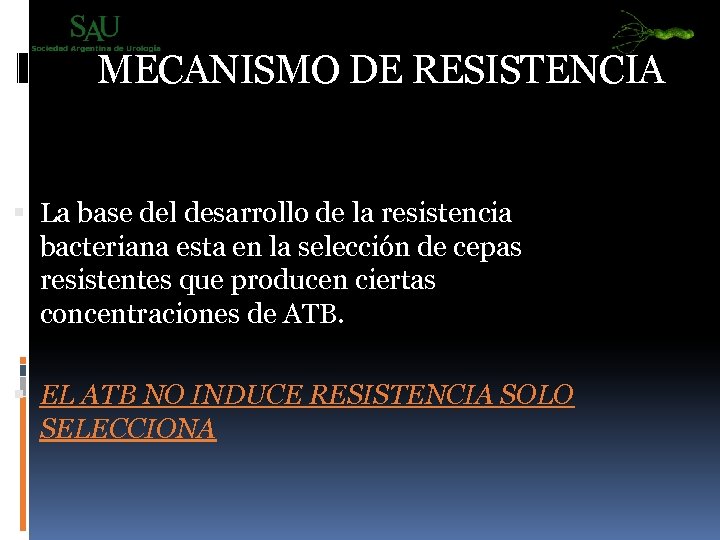 MECANISMO DE RESISTENCIA La base del desarrollo de la resistencia bacteriana esta en la