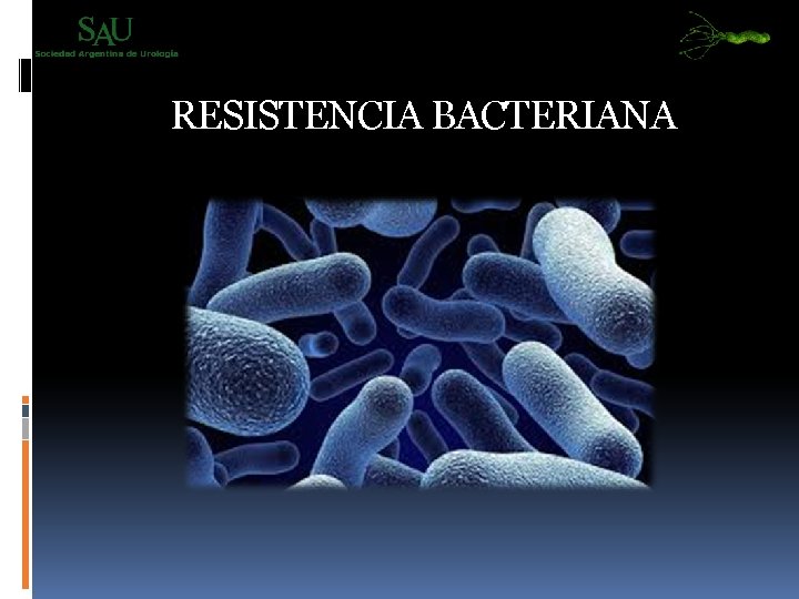 RESISTENCIA BACTERIANA 