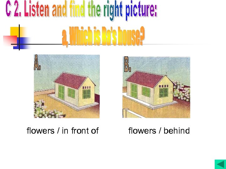 flowers / in front of flowers / behind 