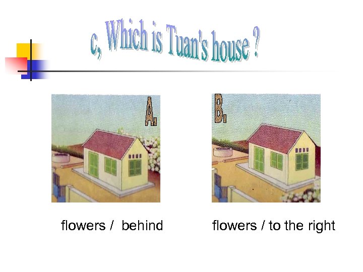 flowers / behind flowers / to the right 