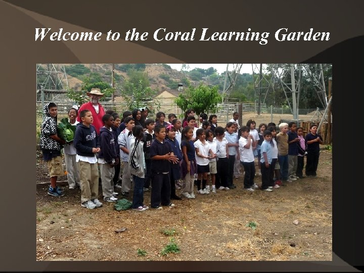 Welcome to the Coral Learning Garden 