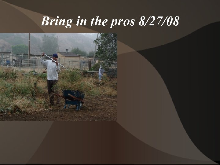 Bring in the pros 8/27/08 