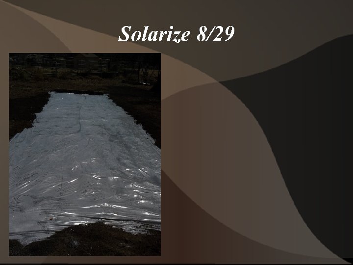 Solarize 8/29 