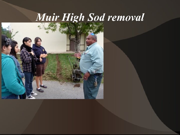 Muir High Sod removal 