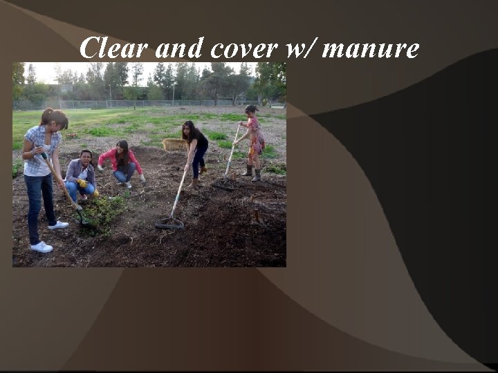 Clear and cover w/ manure 