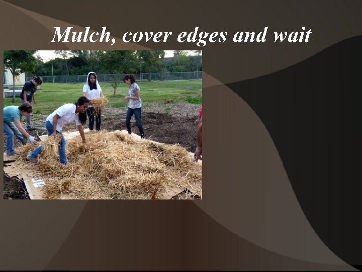 Mulch, cover edges and wait 