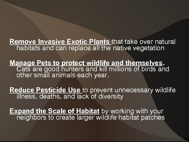 Remove Invasive Exotic Plants that take over natural habitats and can replace all the
