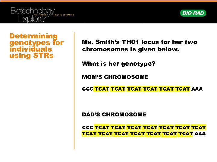 Determining genotypes for individuals using STRs Ms. Smith’s TH 01 locus for her two