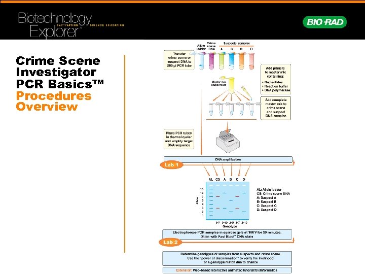 Crime Scene Investigator PCR Basics™ Procedures Overview 