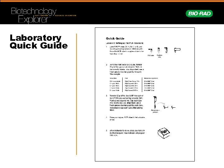 Laboratory Quick Guide 