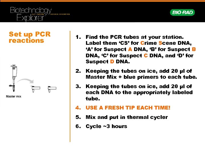 Set up PCR reactions 1. Find the PCR tubes at your station. Label them