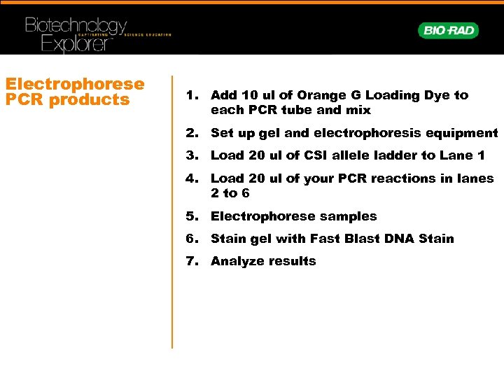 Electrophorese PCR products 1. Add 10 ul of Orange G Loading Dye to each