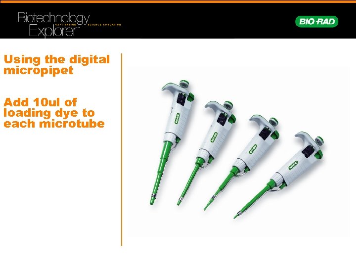 Using the digital micropipet Add 10 ul of loading dye to each microtube 