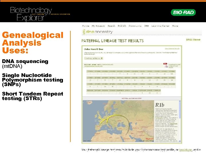 Genealogical Analysis Uses: DNA sequencing (mt. DNA) Single Nucleotide Polymorphism testing (SNPs) Short Tandem