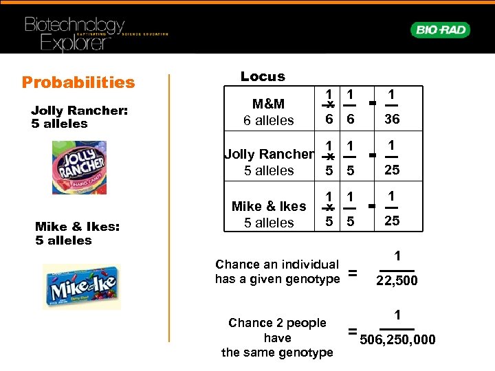 Probabilities Jolly Rancher: 5 alleles Locus M&M 6 alleles 1 1 x 6 6