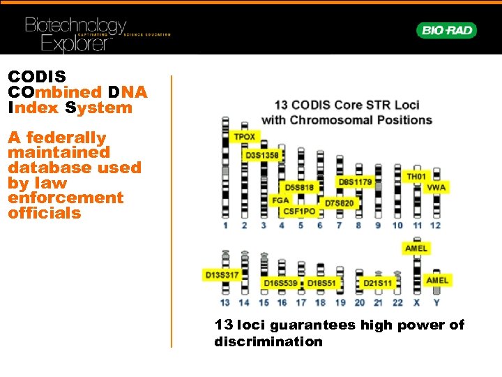 CODIS COmbined DNA Index System A federally maintained database used by law enforcement officials